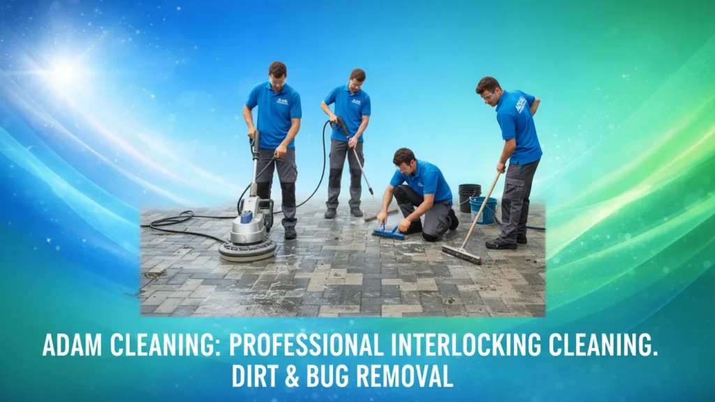 تنظيف انترلوك في العين